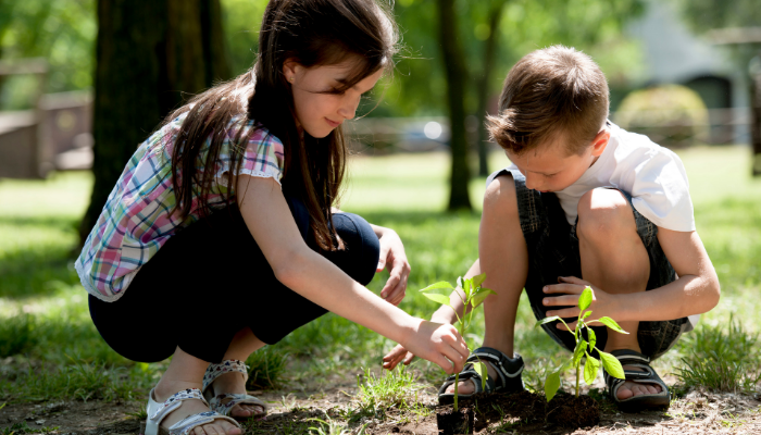  Få Barn Hagearbeid Og Planting