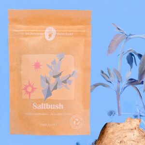 Melbourne Bushfood Saltbush Spice 20g