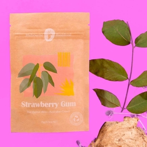 Melbourne Bushfood Strawberry Gum Spice 15g