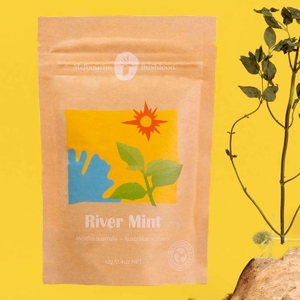 Melbourne Bushfood River Mint Spice 12g