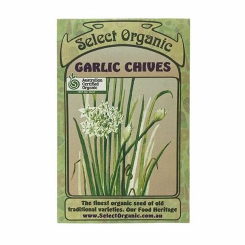 Select Organic Garlic Chives Seeds ~ 1 Packet
