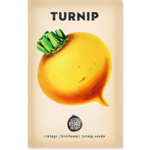 The Little Veggie Patch Co Turnip 'Purple Top' Heirloom Seeds 