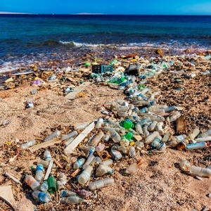 ABC's War on Waste is Back for a Second Series - Will Australia Go Even More Plastic-Free Crazy?!