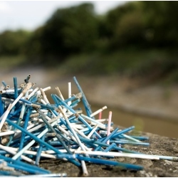 Are Your Cotton Buds Good Buddies & Eco Friendly or Bad Buddies?