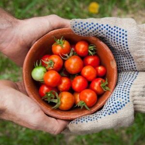 The 8 Benefits of Growing Your Own Food