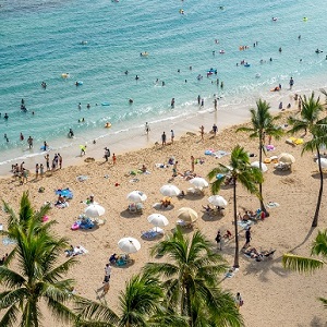 Take Action - Should We Follow Hawaii and Ban Coral Damaging Sunscreen? Ah..Yes!